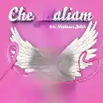 دانلود آهنگ چه حالیم از شبنم ژاله